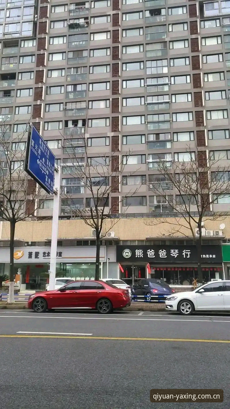 亚星体育平台安卓安装评测：启愿版的终端适配与使用体验报告